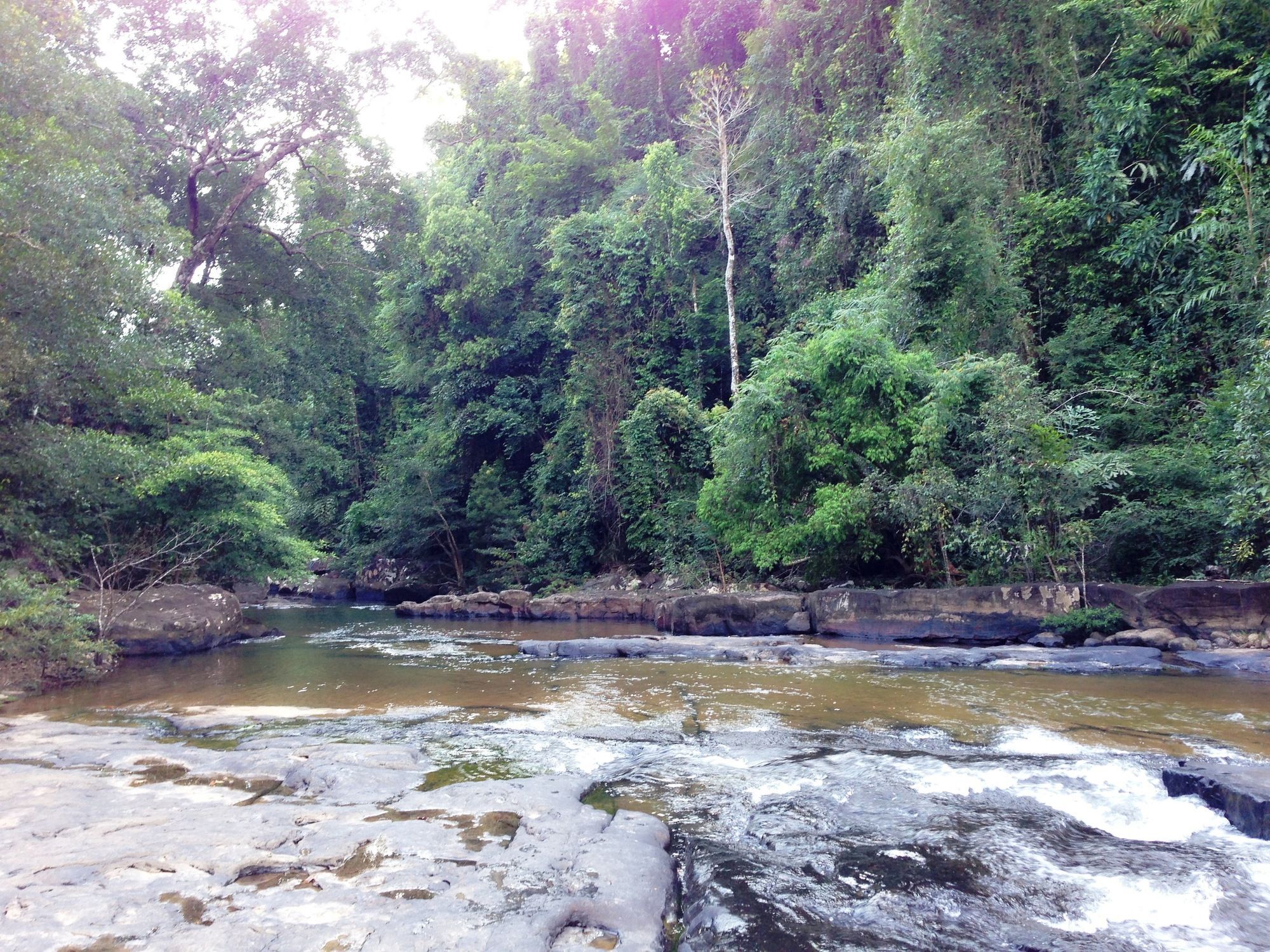 Jungle Koh Kood Resort Ban Khlong Chao المظهر الخارجي الصورة